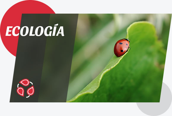ecología